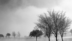 怎么去攻击一个网站与防护